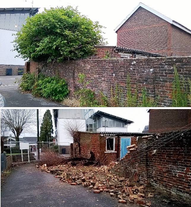 Wall damaged by knotweed